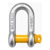 Dee Shackle (13.5 Ton)